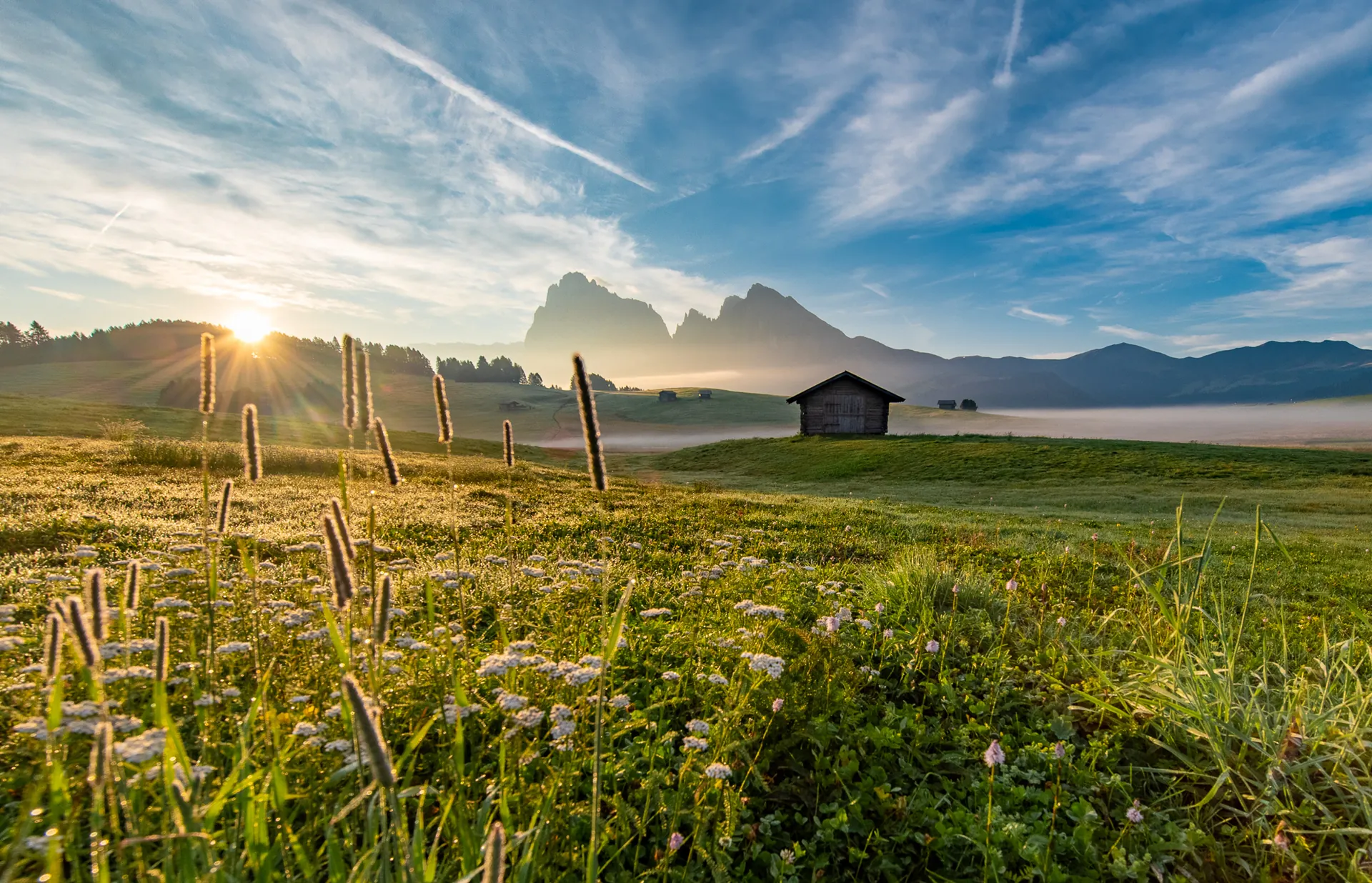 Low sunlight across a meadow and fence, with a wooden hut and Sassolungo behind.