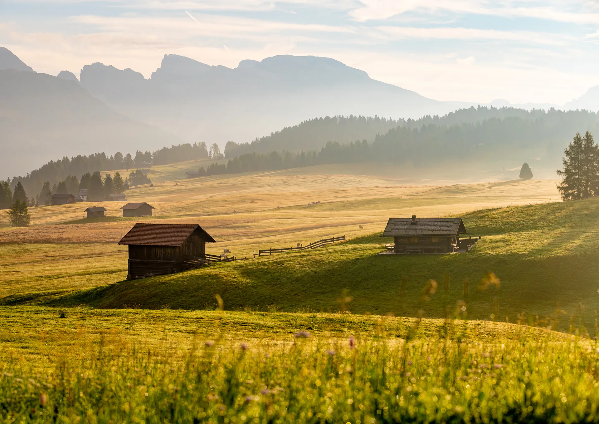 Two wooden hay huts in rolling meadows beneath a hazy mountain ridge.