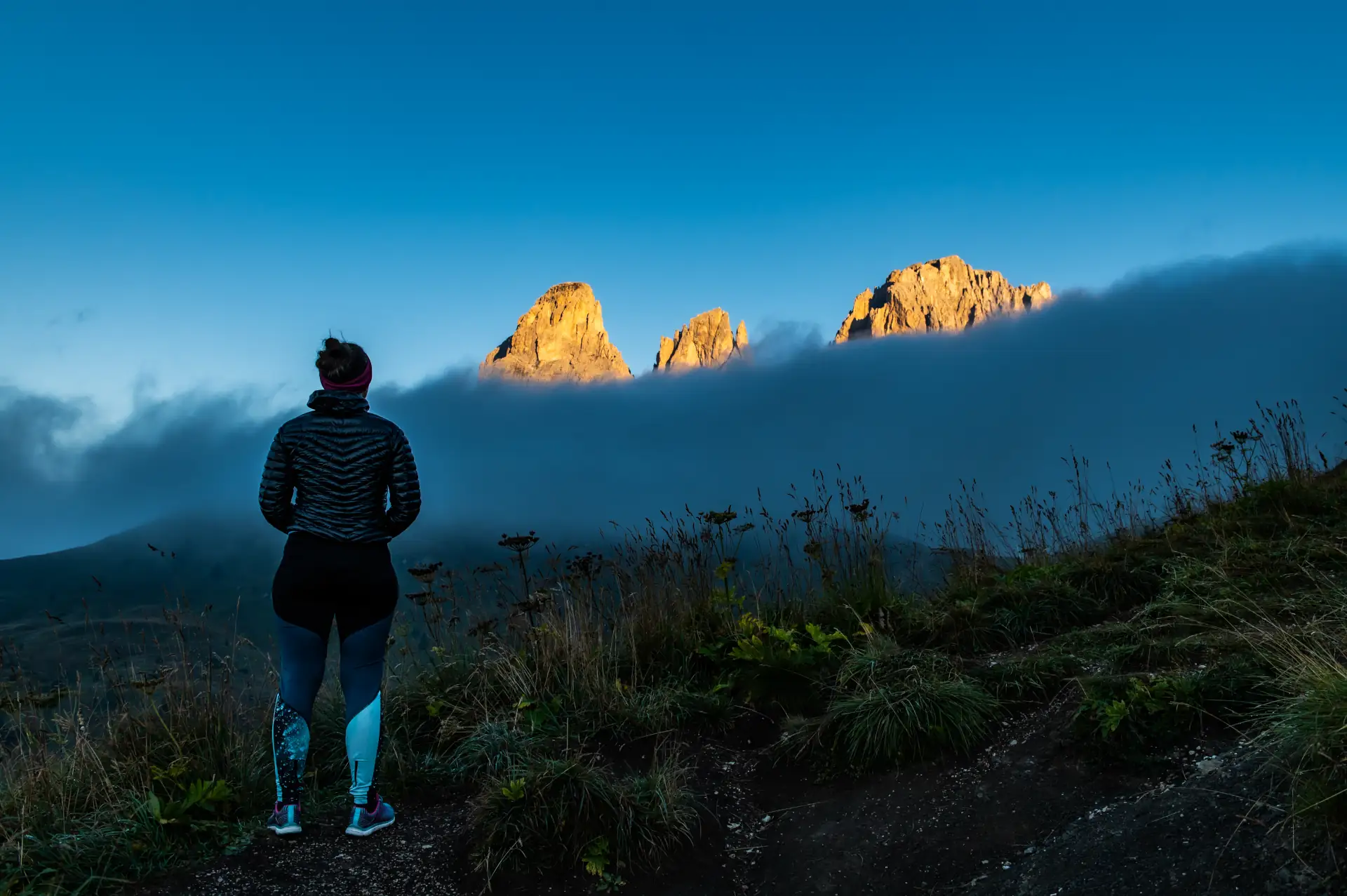 Sassolungo from Passo Sella