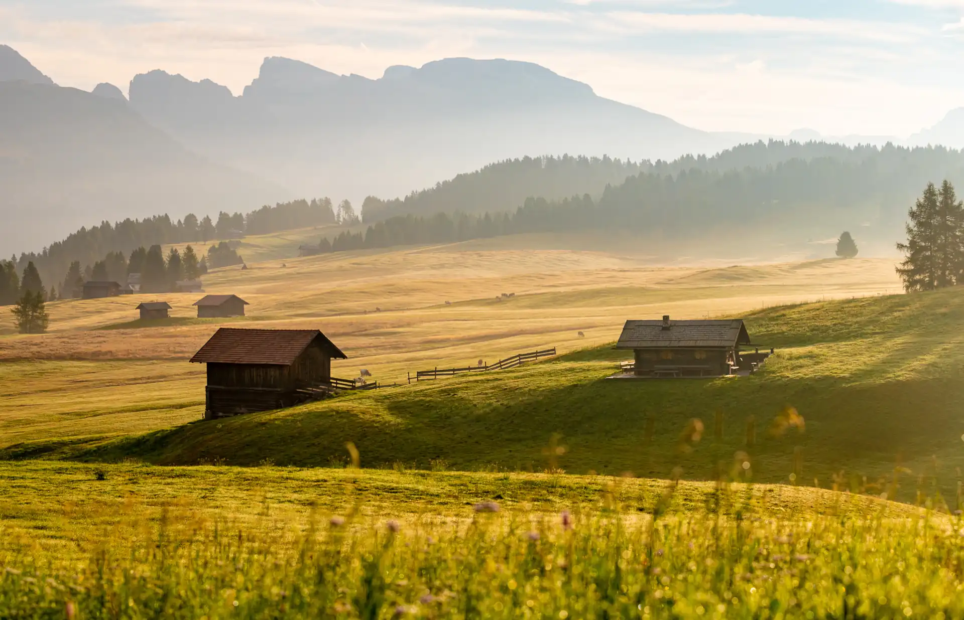 Alpe di Siusi (Seiser Alm), Dolomites, Italy.